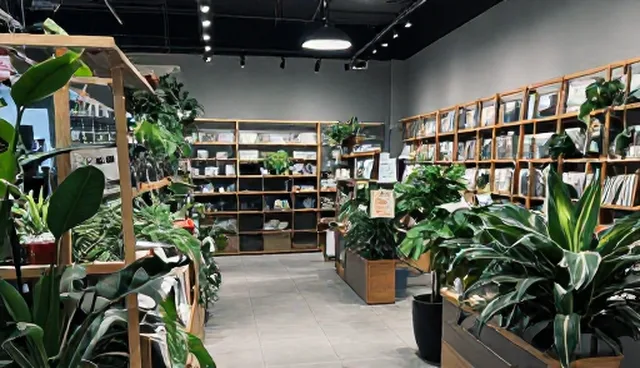 供求信息发布产品效果影响因素与展示优化策略